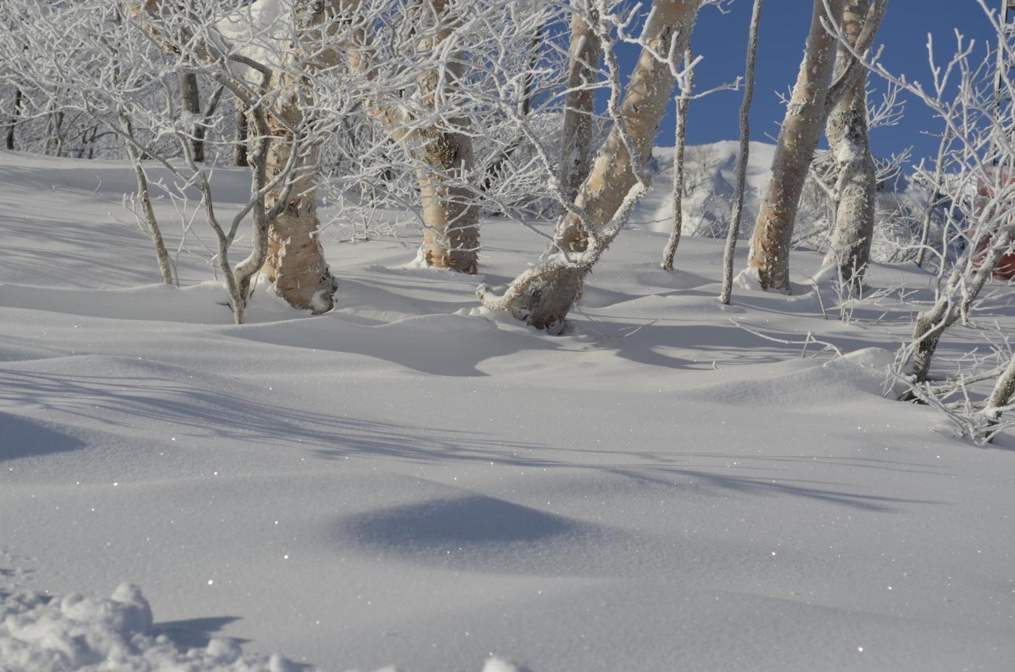 B&B Santana Hakuba Eksteriør billede